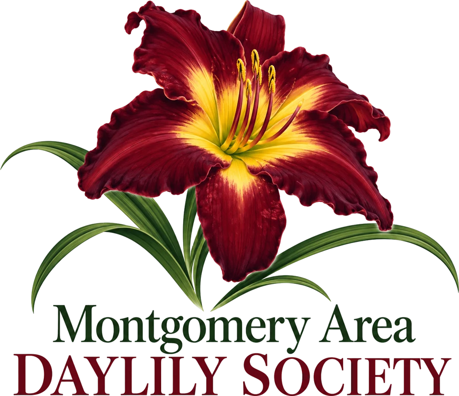 Montgomery Area Daylily Society logo: a deep red daylily with a golden throat