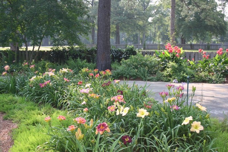 The Miller Garden
