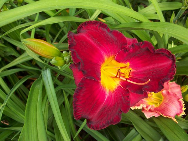 ‘Mike Summers’