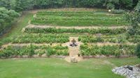 The Kovach Garden, photo 3