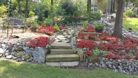 The Kovach Garden, photo 4